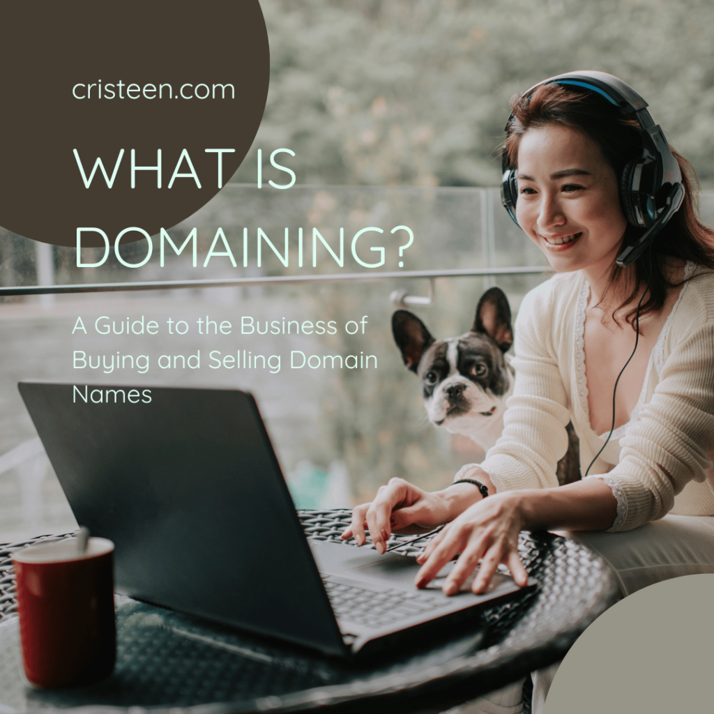 What is Domaining?