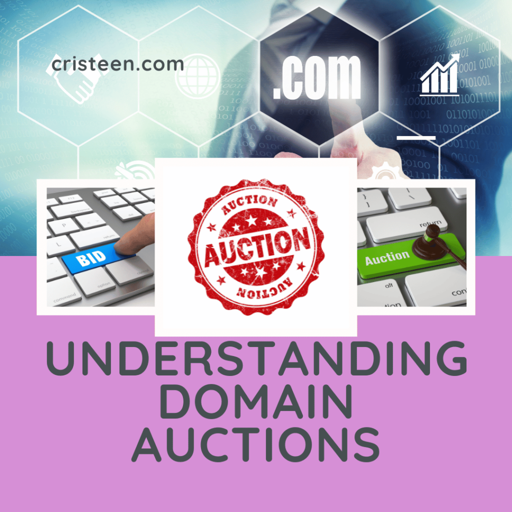 Understanding Domain Auctions