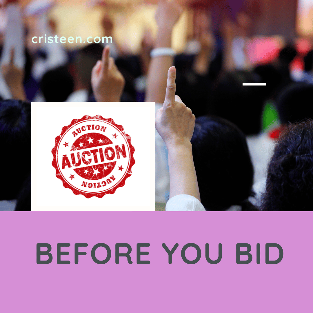 Before You Bid