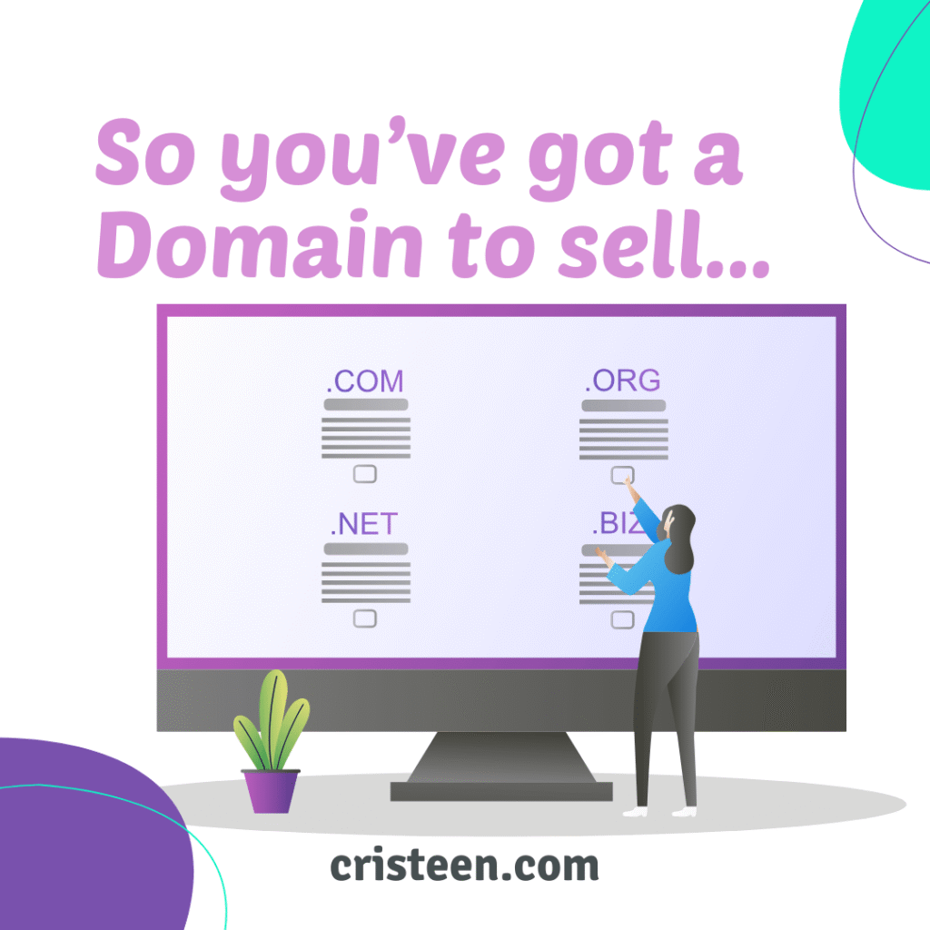So You've got a Domain to Sell?